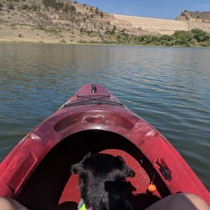 Meet your Posher, Ting ting